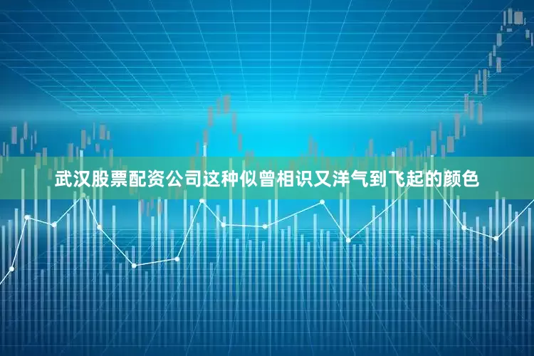 武汉股票配资公司这种似曾相识又洋气到飞起的颜色