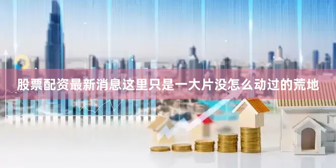 股票配资最新消息这里只是一大片没怎么动过的荒地